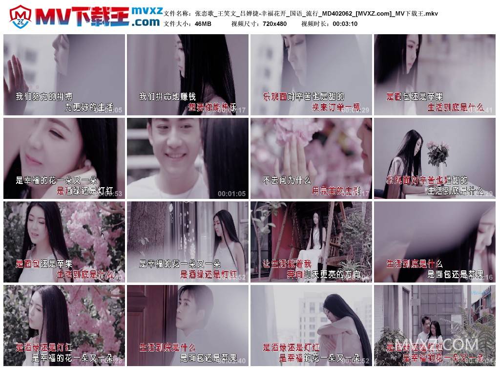 张恋歌_王笑文_吕婵捷-幸福花开_国语_流行_MD402062